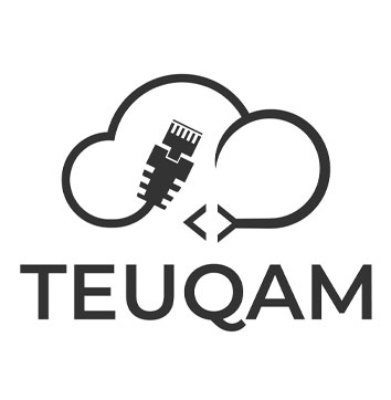 Logo de TEUQAM,service informatique aux entreprises, alarme et vidéo-surveillance au Parc d'Activités Thur Business, à Vieux-Thann, 68 Alsace
